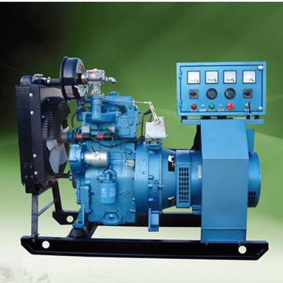 30KVA Biyogaz Elektrik Jeneratörü 400 Kw Doğalgaz Jeneratörü