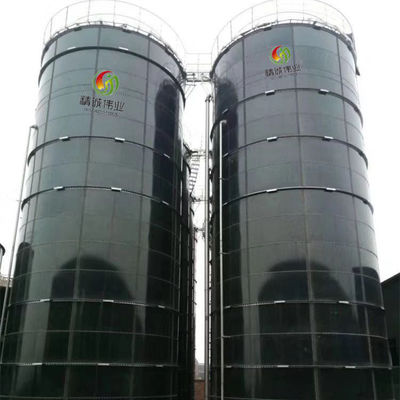 Yüksek Hızlı Anaerobik Reaktör Tasarımı Anaerobik Çürütücü Tank Fiyatı