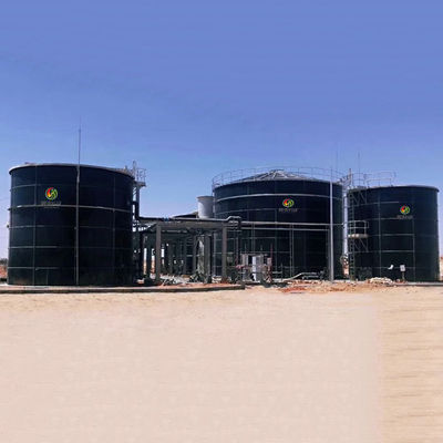 Biyogaz Kojenerasyon Biyogaz CNG Tesisi Ev Fiyatı İçin Biyo Gaz Tesisi