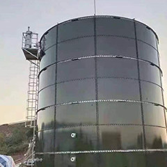 Dev İnek Gübresi Metan Digester ASBR Anaerobik Sıralama Toplu Reaktörü