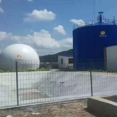 Dev İnek Gübresi Metan Digester ASBR Anaerobik Sıralama Toplu Reaktörü