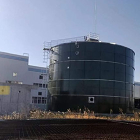 EGSB Anaerobik Reaktör Atıksu Arıtma Gübre Metan Çürütücü