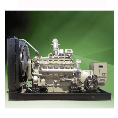 5KW Biyokütle Jeneratörü Biyogaz Elektrik Jeneratörü 50HZ/60HZ