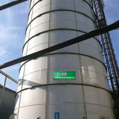 800m3 Anaerobik Digester Tankı CSTR Advanced Waste Digester Biyogaz Tankı